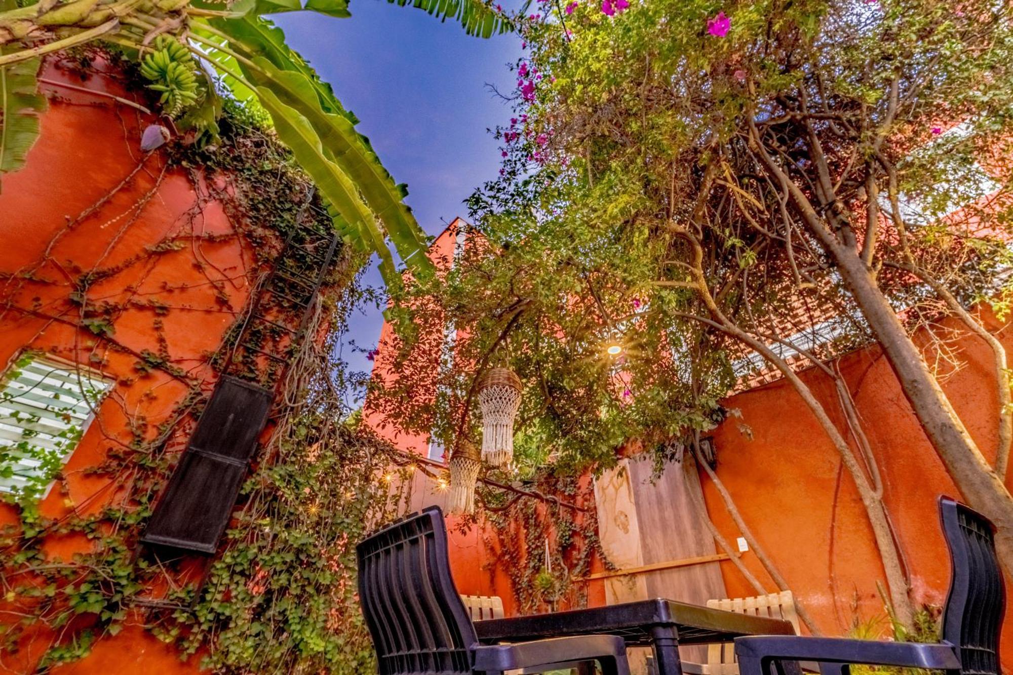Casa Guanab Guest House オアハカ州 エクステリア 写真