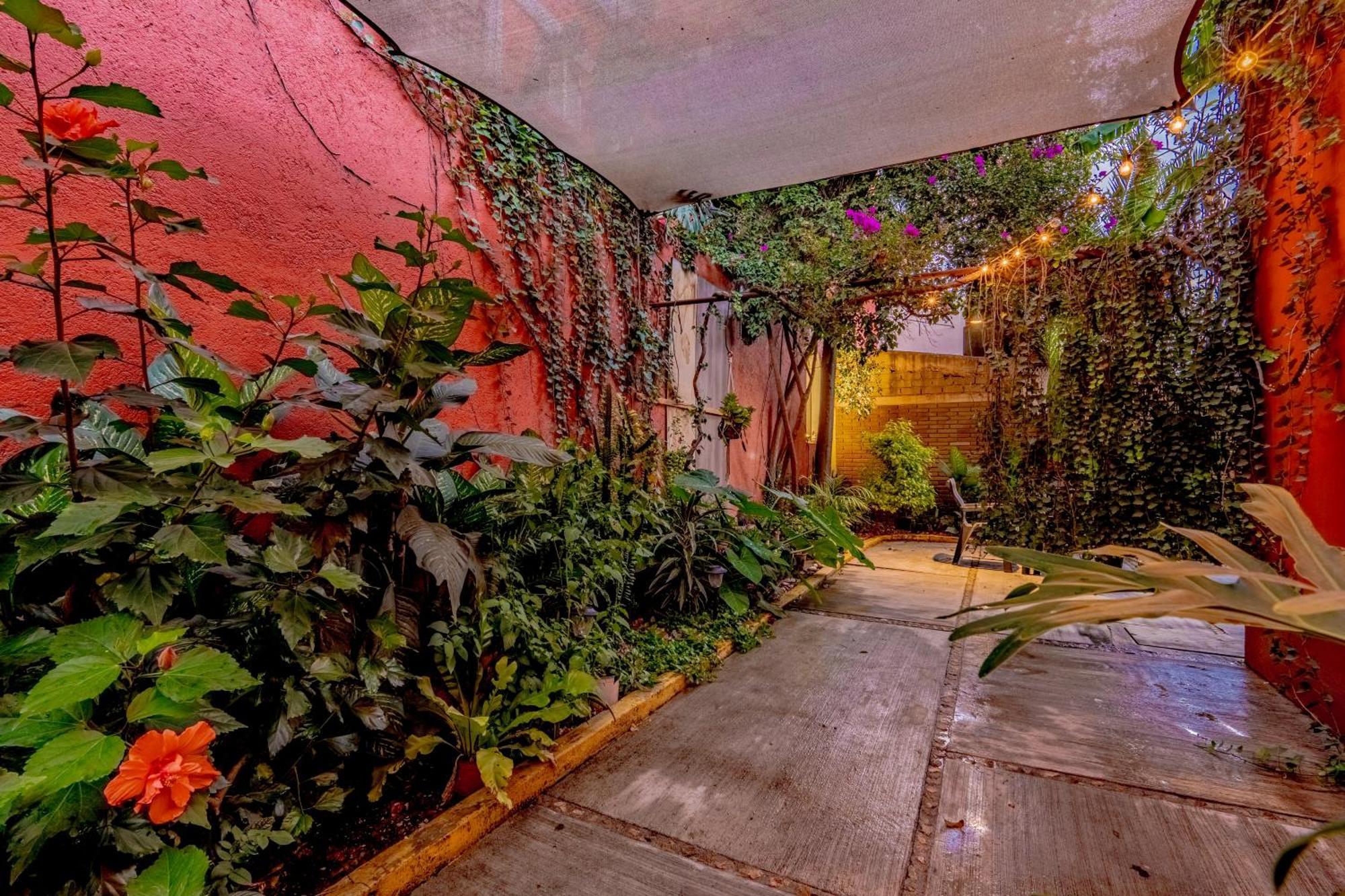 Casa Guanab Guest House オアハカ州 エクステリア 写真